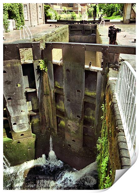 Chester Canal Locks Print by Carole-Anne Fooks