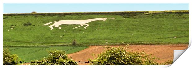 White horse at Devizes Print by Carole-Anne Fooks