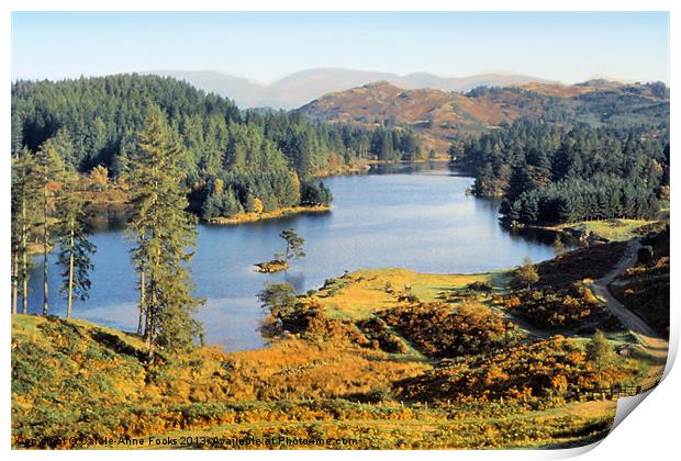 Tarn Hows The Lakes District Print by Carole-Anne Fooks