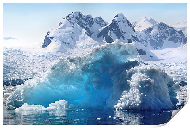Iceberg in Cierva Cove, Antarctica Print by Carole-Anne Fooks