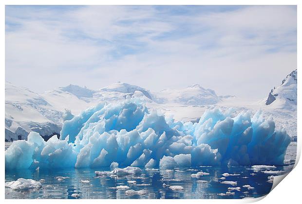 Iceberg Cierva Cove Antarctica Print by Carole-Anne Fooks