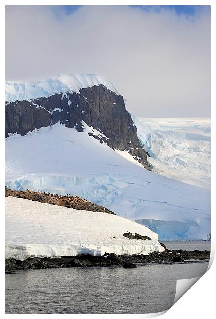 Trinity Island & The Antarctic Peninsula Print by Carole-Anne Fooks
