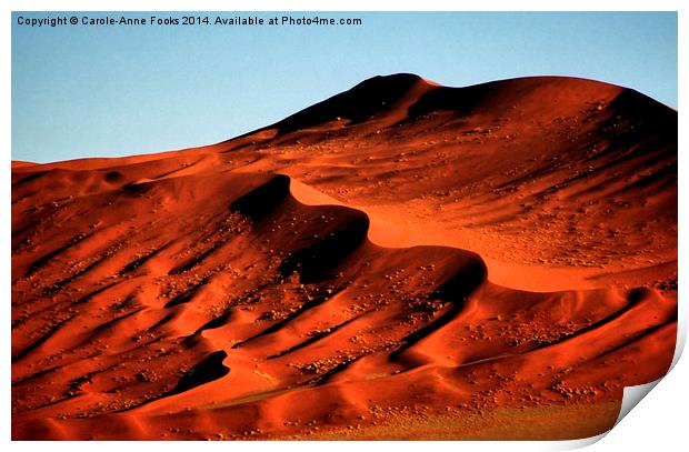 Detailed Dunes, Namibia Print by Carole-Anne Fooks