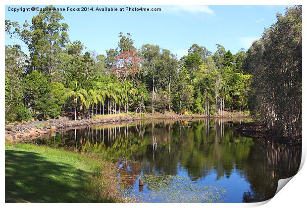   Mount Coot-tha Botanic Gardens, Brisbane Print by Carole-Anne Fooks