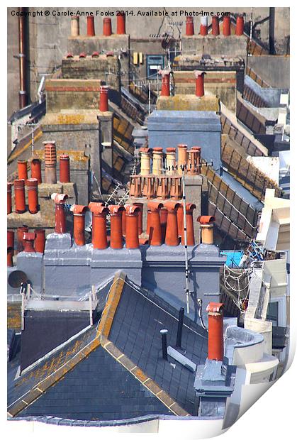   Roofs of Brighton From the Ferris Wheel Print by Carole-Anne Fooks