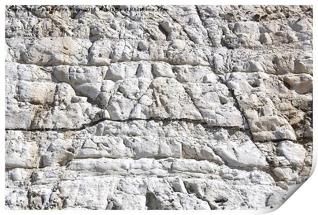   Detail Chalk Cliffs Saltdean East Sussex Print by Carole-Anne Fooks