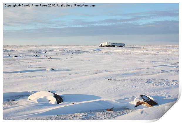  Tundra Buggy Lodge on the Vast Tundra Print by Carole-Anne Fooks
