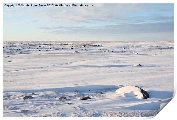  The Tundra in the Early Morning, Canada Print by Carole-Anne Fooks