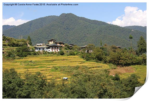  Farms & Landscape, Bhutan Print by Carole-Anne Fooks