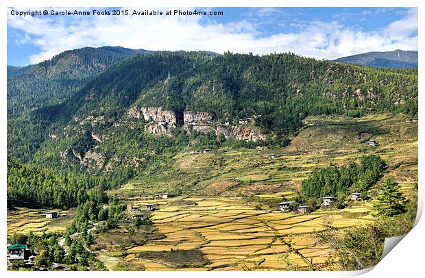  The Paro Valley, Bhutan Print by Carole-Anne Fooks