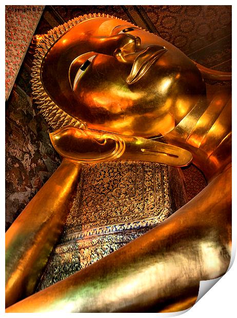  The Reclining Buddha, Wat Pho, Bangkok, Thailand  Print by Carole-Anne Fooks