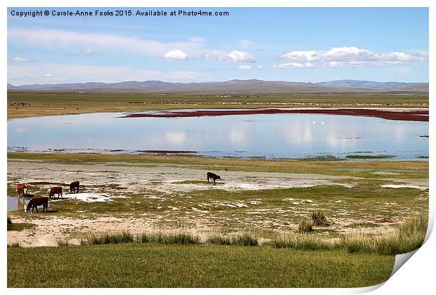  Gun Galuut, Mongolia Print by Carole-Anne Fooks