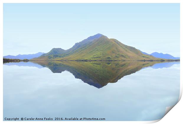 Reflections at Melaleuca Print by Carole-Anne Fooks