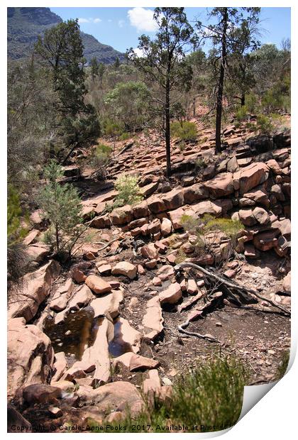 Flinders Ranges, South Australia Print by Carole-Anne Fooks