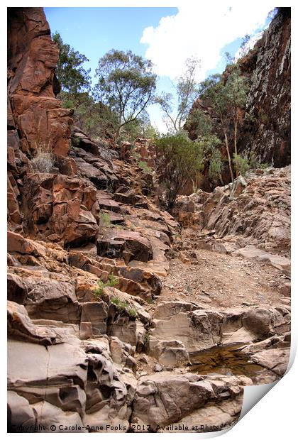 Sacred Canyon, Flinders Ranges Print by Carole-Anne Fooks