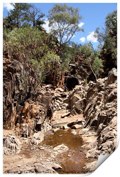 Sacred Canyon, Flinders Ranges Print by Carole-Anne Fooks