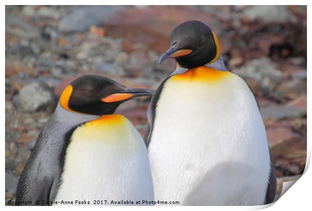 King Penguins Print by Carole-Anne Fooks