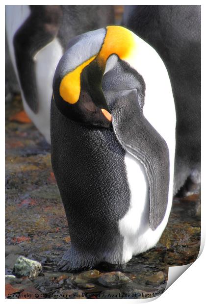 Sleeping King Penguins Print by Carole-Anne Fooks