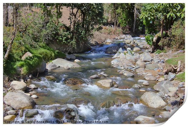 La Savegre Valley Print by Carole-Anne Fooks