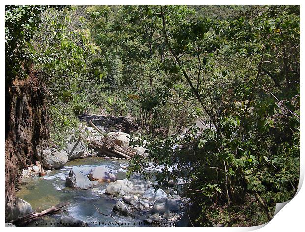 La Savegre Valley  Print by Carole-Anne Fooks