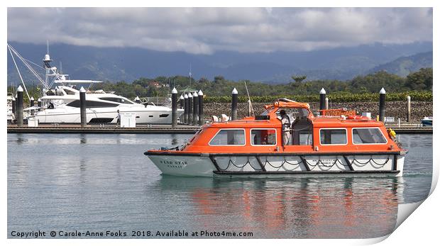 The Harbour at Quepos Print by Carole-Anne Fooks