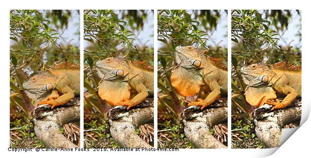 Male Green Iguana Print by Carole-Anne Fooks