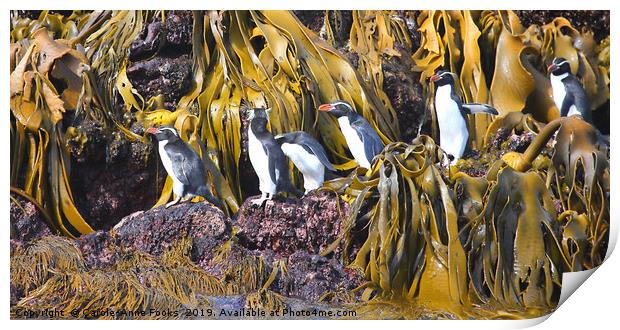 Snares Crested Penguins  Print by Carole-Anne Fooks