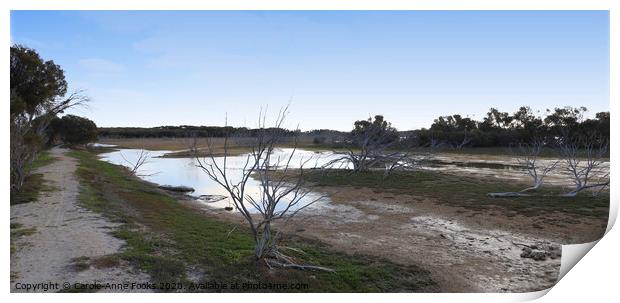 Late Afternoon Light at Murray Lagoon  Print by Carole-Anne Fooks