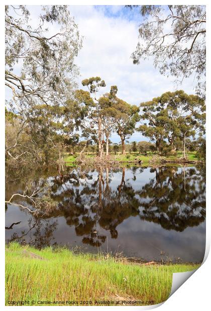 Duck Lagoon Print by Carole-Anne Fooks