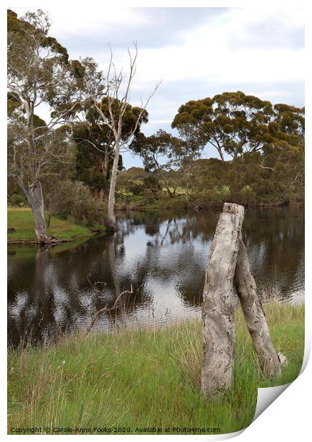 Duck Lagoon Print by Carole-Anne Fooks