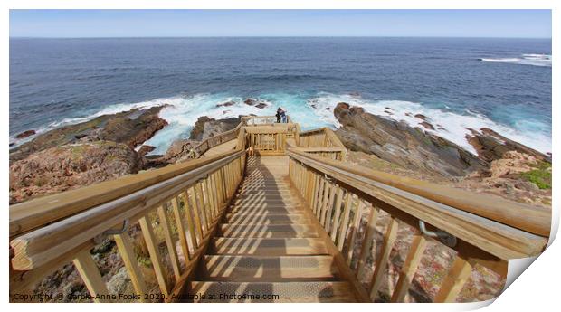 The Boardwalk and Steps at Cape du Couedic Print by Carole-Anne Fooks