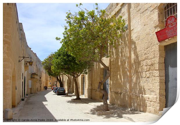 Narrow Street in Mdina, Rabat, Malta.  Print by Carole-Anne Fooks
