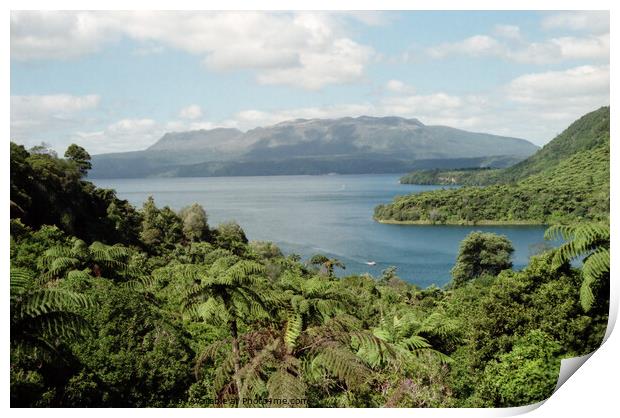 Lake and Mount Tarawera, New Zealand Print by Carole-Anne Fooks