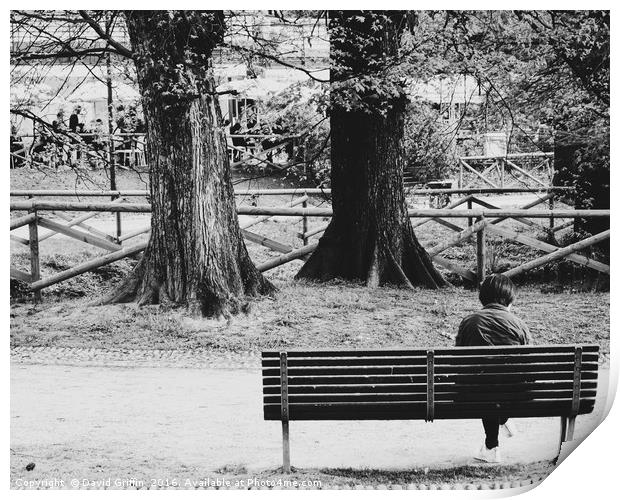 Lonely Seating Print by David Griffin