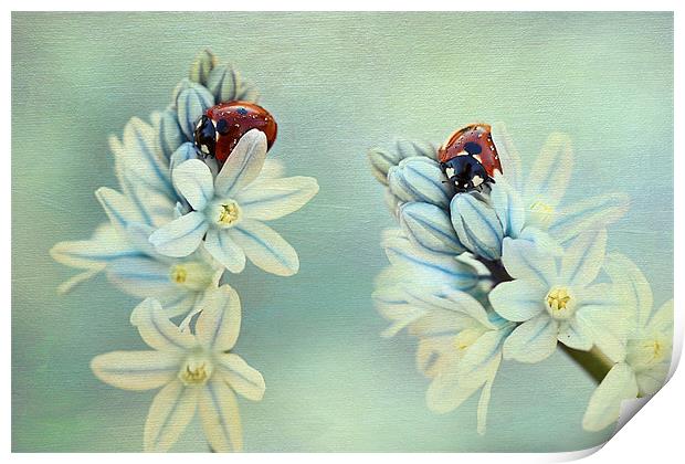 Ladybirds Print by Ellen van Deelen
