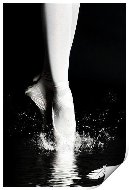 Swan Lake Print by Gabor Dvornik