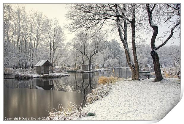 Winter silence Print by Gabor Dvornik