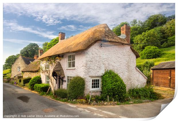 Charming Thatched Cottage in Rural Branscombe Print by Rob Lester