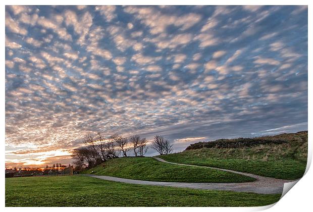 Mackerel Sky in the Park Print by Rob Lester