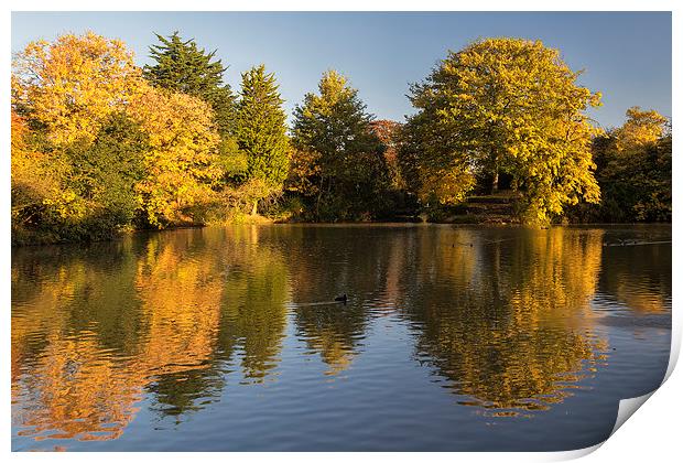  Autumn Reflections Print by Rob Lester