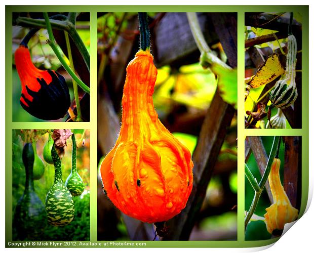 Collage of Gourds Print by Mick Flynn
