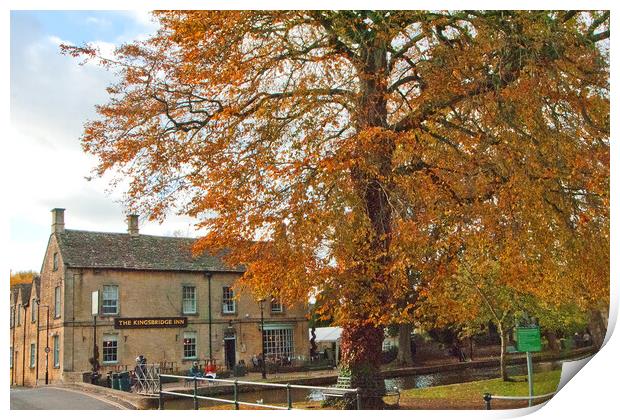 Autumn Trees Bourton on the Water Cotswolds Print by Andy Evans Photos