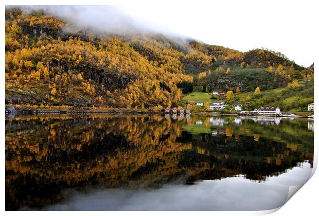 Autumn Trees Flam Aurlandsfjord Norway Print by Andy Evans Photos