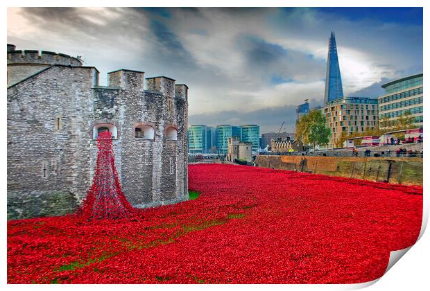 Tower of London Red Poppy Poppies Print by Andy Evans Photos