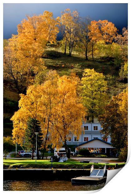 Autumn Trees Flam Aurlandsfjord Norway Print by Andy Evans Photos