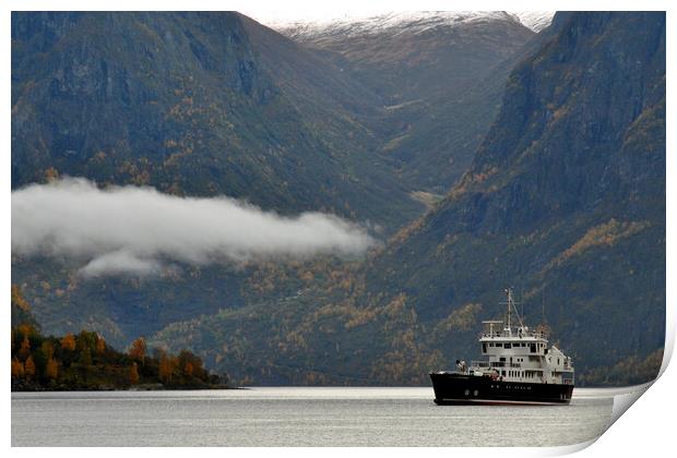 Aurlandsfjord Flam Norwegian Fjord Norway Print by Andy Evans Photos