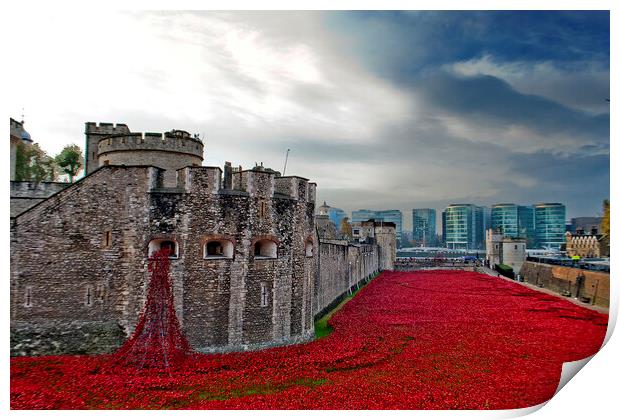 Tower Of London Poppies Red Poppy Print by Andy Evans Photos