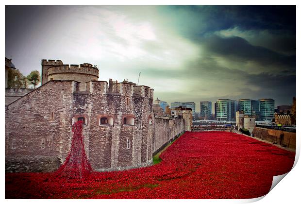 Tower Of London Poppies Red Poppy Print by Andy Evans Photos