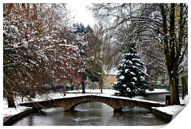 Bourton on the Water Christmas Tree Cotswolds Print by Andy Evans Photos