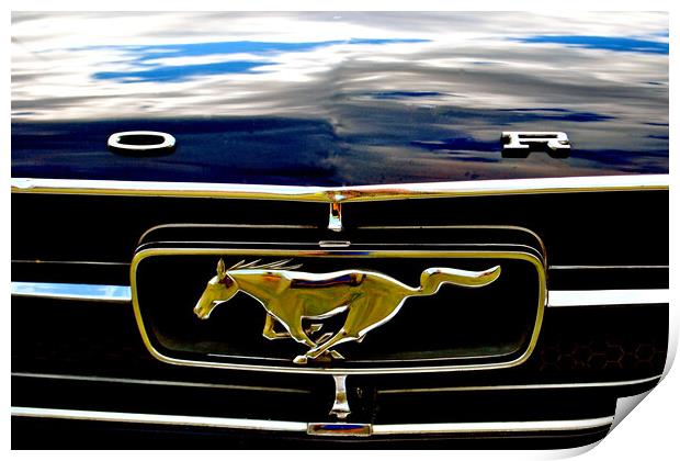 Unleash the Power of Mustang Print by Andy Evans Photos